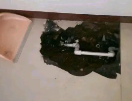 石家庄市卫生间测漏水多少钱